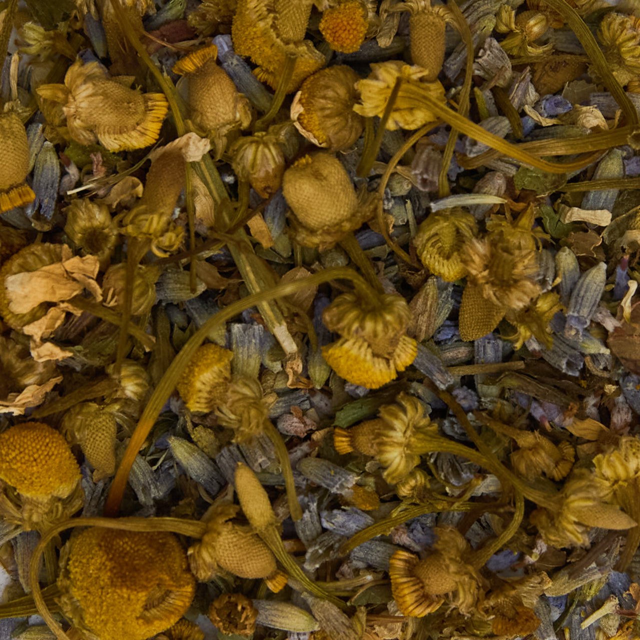 Sleep Tea - Blaque Wellness